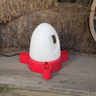Image showing  2.5 gal. Heated Duck Waterer, Red