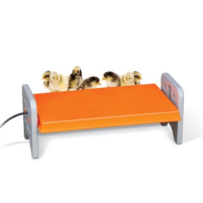 K&H Pet Products Thermo-Poultry Brooder, Gray/Orange