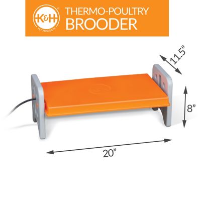 Image showing  Thermo-Poultry Brooder, Gray/Orange