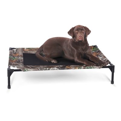 K&H Pet Products Original Elevated Cot Pet Bed, 100539585