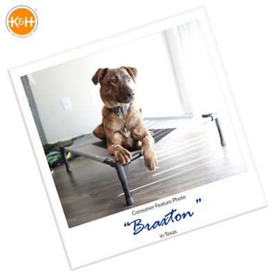 Image showing  Original Camo Elevated Cot Pet Bed