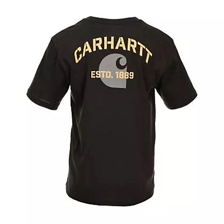 Carhartt Men's Short-Sleeve Exclusive Graphic T-Shirt, 105610 at ...