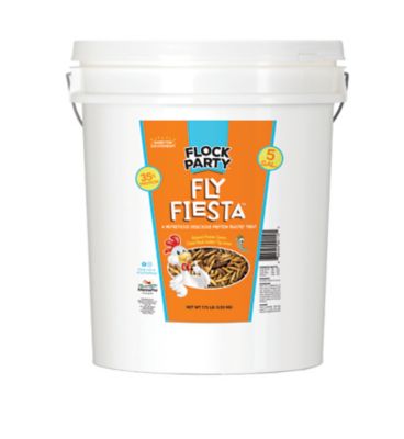 Flock Party Fly Fiesta Bucket Poultry Treats, 7.8 lb.