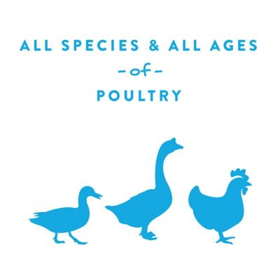 Image showing 5 th Manna Pro Hydro Hen Poultry Drinking Water Supplement, 20 oz.