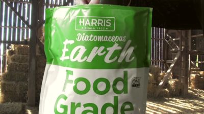 Image showing  Food-Grade Diatomaceous Earth, 4 lb.