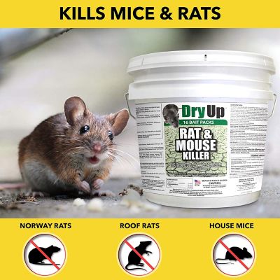 Image showing  4 oz. Dry-Up Mouse and Rat Killer, 16-Pack