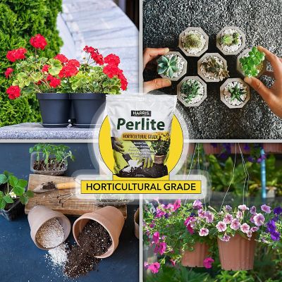 Image showing  8 qt. Horticulture Grade Perlite