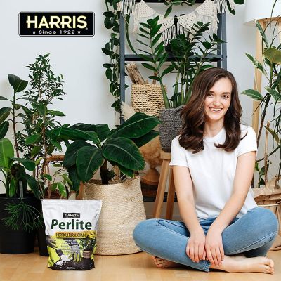 Image showing 7 th Harris 8 qt. Horticulture Grade Perlite