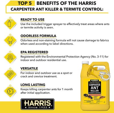 Image showing  1 gal. Carpenter Ant Killer and Termite Control