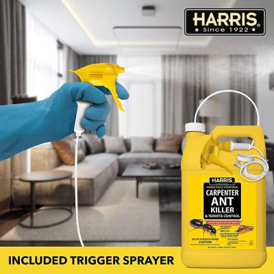 Image showing  1 gal. Carpenter Ant Killer and Termite Control