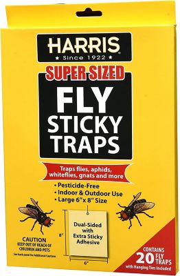 Harris Fruit Fly Trap, Fruit Fly Killer for Indoors, 6oz (1 pk.) at Tractor  Supply Co.