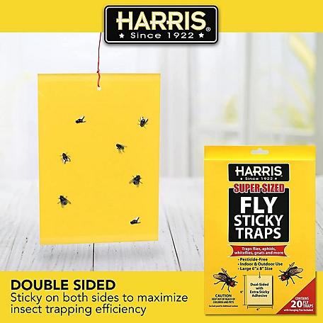 Simple Fly Control  Fly Stik™ Sticky Fly Traps