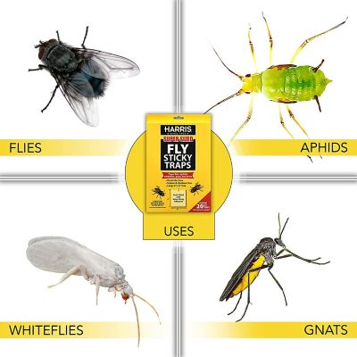 Image showing  Super Sized Sticky Fly Traps, 20-Pack