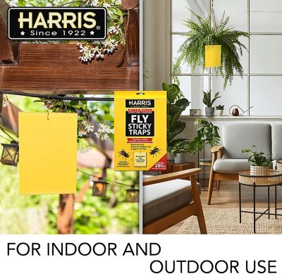 Image showing  Super Sized Sticky Fly Traps, 20-Pack