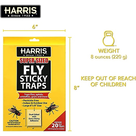 Harris Fruit Fly Trap, Fruit Fly Killer for Indoors, 6oz (1 pk.) at Tractor  Supply Co.