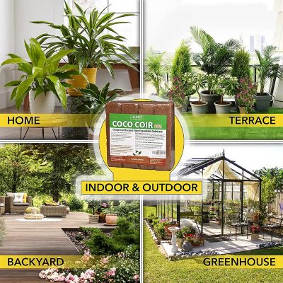 Image showing  9 qt. Coconut Coir Piths, 4-Pack