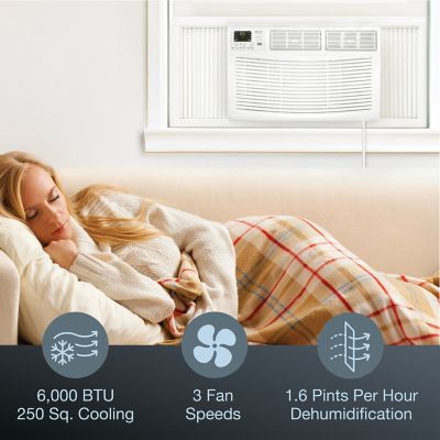 Image showing  115V Window-Mounted Air Conditioner with Remote Control, 250 sq. ft., 6,000 BTUs, AMAP061CW
