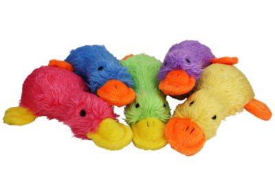 Image showing  Duckworth Dog Squeak Toy, 13 in., Assorted Colors