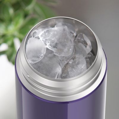 Image showing 9 th Thermos 12 oz. FUNtainer Vacuum-Insulated Stainless Steel Water Bottle