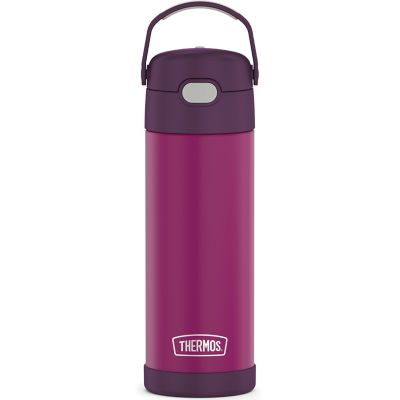 Thermos 16 oz. FUNtainer Vacuum-Insulated Stainless Steel Water Bottle with Spout, THRF41101RV6