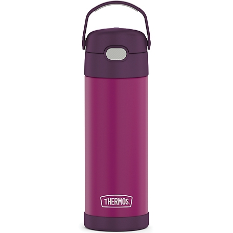Thermos 16 oz. FUNtainer Vacuum-Insulated Stainless Steel Water Bottle with Spout, THRF41101RV6