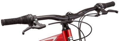 Image showing  Men's 29 in. 21-Speed Flatrock DX Mountain Bicycle, Red