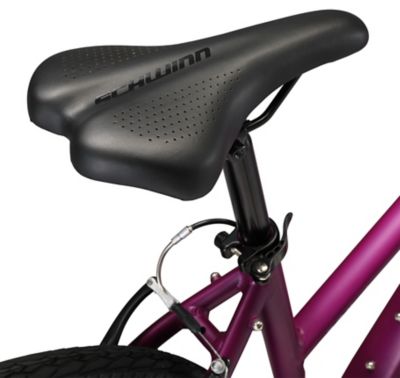 Image showing 5 th Schwinn Women's 700c 21-Speed GTX 1 Dual Sport Hybrid Bike, Purple