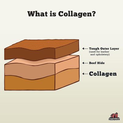Image showing  Collagen Stick Beef Flavor Dog Chew Treat
