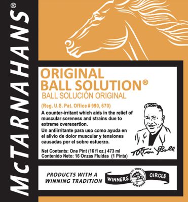 Image showing  Ball Liniment Brace Antiseptic for Horses, 16 oz.