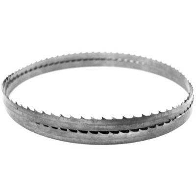 Century Drill & Tool 64-1/2 in. x 14 TPI Band Saw Blade, Style Reg -  15605