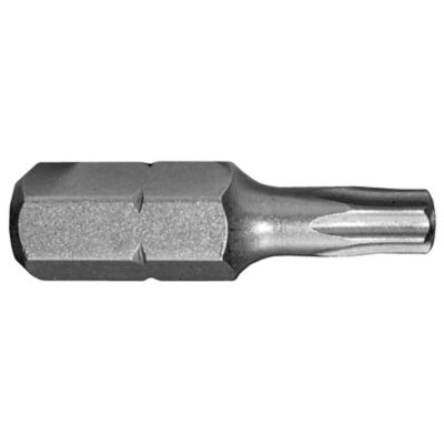 Century Drill & Tool 1/4 in. x 1 in. T25 Security Star Insert Bit