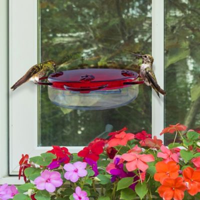 Image showing  8 oz. Window Hummingbird Feeder