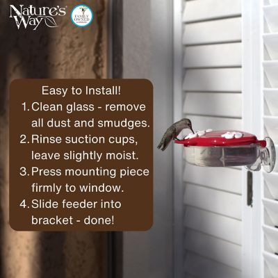 Image showing 7 th Wild Wings 8 oz. Window Hummingbird Feeder