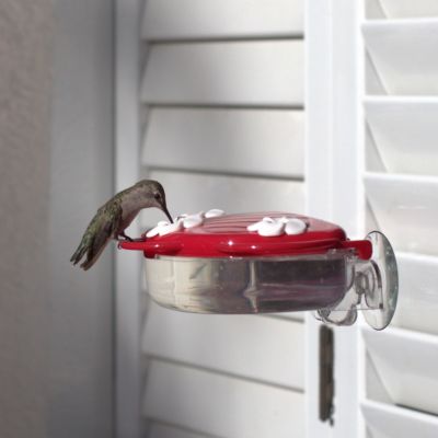 Image showing 8 th Wild Wings 8 oz. Window Hummingbird Feeder