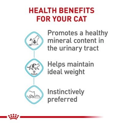 Image showing  Feline Care Nutrition Adult Urinary Care Thin Slices in Gravy Wet Cat Food Formula, 3 oz.