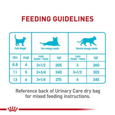 Image showing 7 th Royal Canin Feline Care Nutrition Adult Urinary Care Thin Slices in Gravy Wet Cat Food Formula, 3 oz.