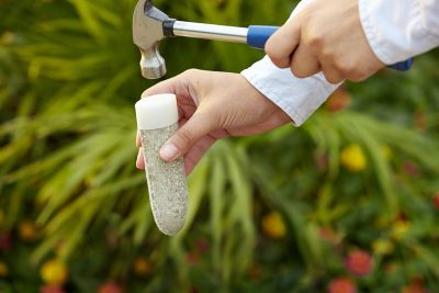 Image showing 7 th Miracle-Gro Fruit and Citrus Plant Food Spikes, 12 pk.