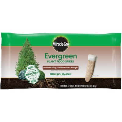 Miracle-Gro 3 lb. Evergreen Plant Food Spikes, 12-Pack