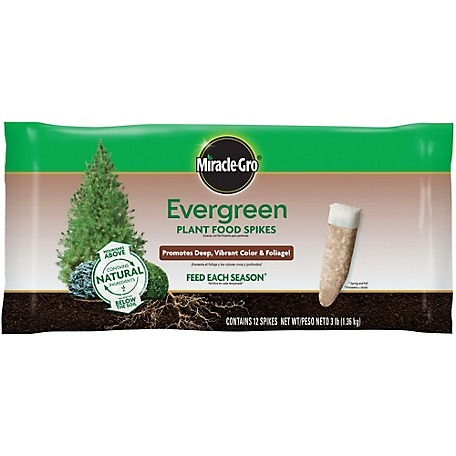 Miracle-Gro 3 lb. Evergreen Plant Food Spikes, 12-Pack