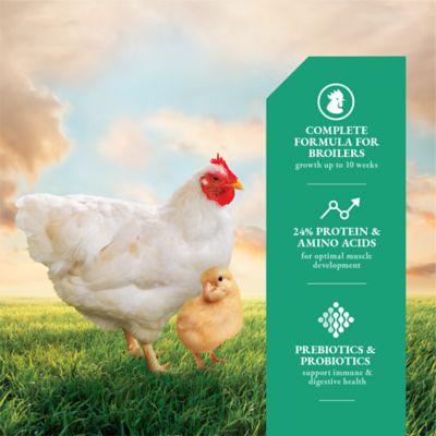 Image showing  Meat Bird Crumbled Poultry Feed