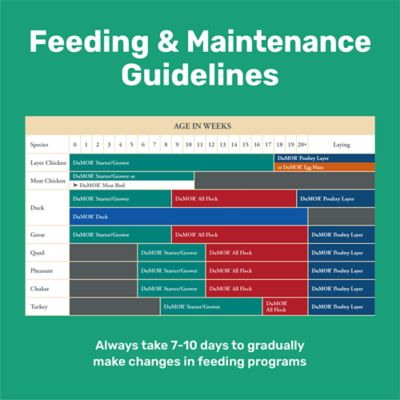 Image showing  Meat Bird Crumbled Poultry Feed