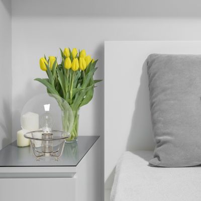 Lalia Home Old World Globe Glass Table Lamp, Brushed Nickel