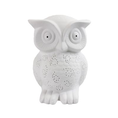 Simple Designs 9.84 in. H Porcelain Wise Owl Shaped Animal Light Table Lamp