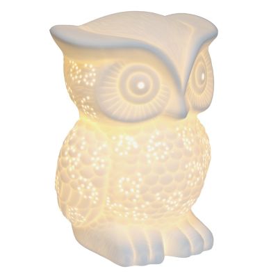 Image showing  9.84 in. H Porcelain Wise Owl Shaped Animal Light Table Lamp