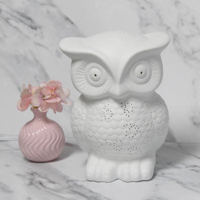 Image showing  9.84 in. H Porcelain Wise Owl Shaped Animal Light Table Lamp