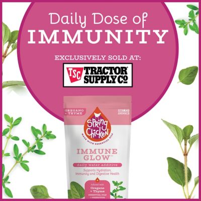 Image showing  Immune Glow Oregano Thyme Chicken Supplement, 30 ct.