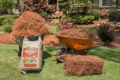 Image showing  2.3 cu. ft. Penn 2.3 cu. ft. Compressed Pine Straw