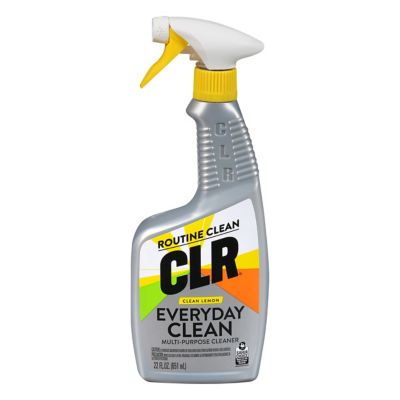 Image showing  Everyday Clean Multi-Purpose Cleaner, Lemon, 22 oz.