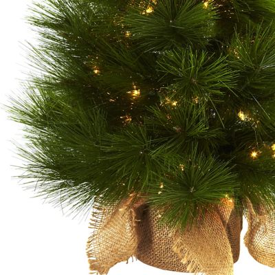 Image showing  3 ft. Pre-Lit Christmas Tree in Burlap Bag, Clear Lights