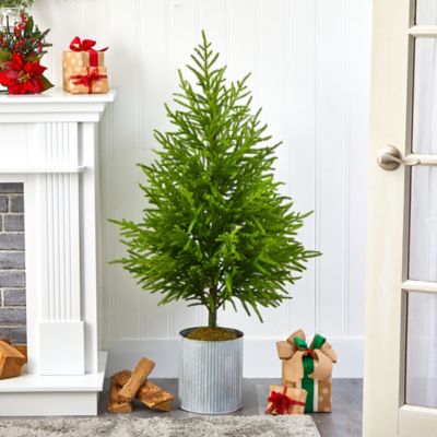 Image showing  49 in. Norfolk Island Pine Natural Look Artificial Tree